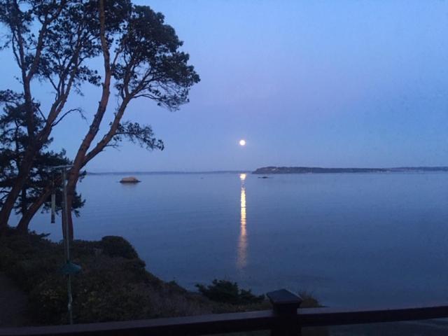 Puget Sound Chic Romantic Cottage With Private Beach Access & Gated Entry Port Ludlow エクステリア 写真