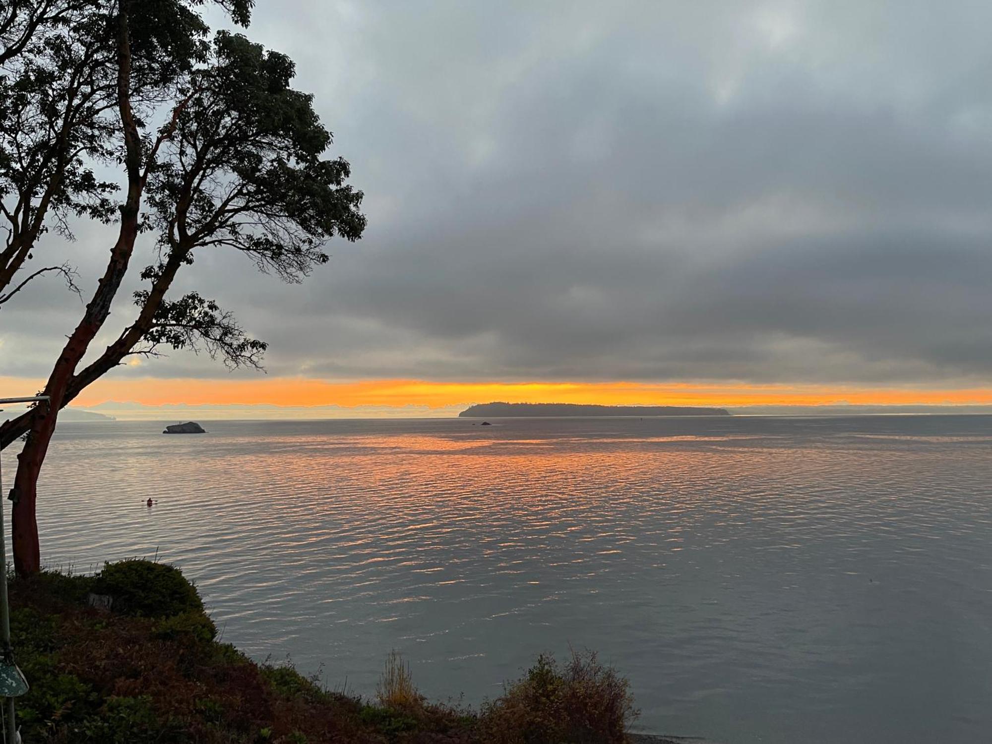 Puget Sound Chic Romantic Cottage With Private Beach Access & Gated Entry Port Ludlow エクステリア 写真
